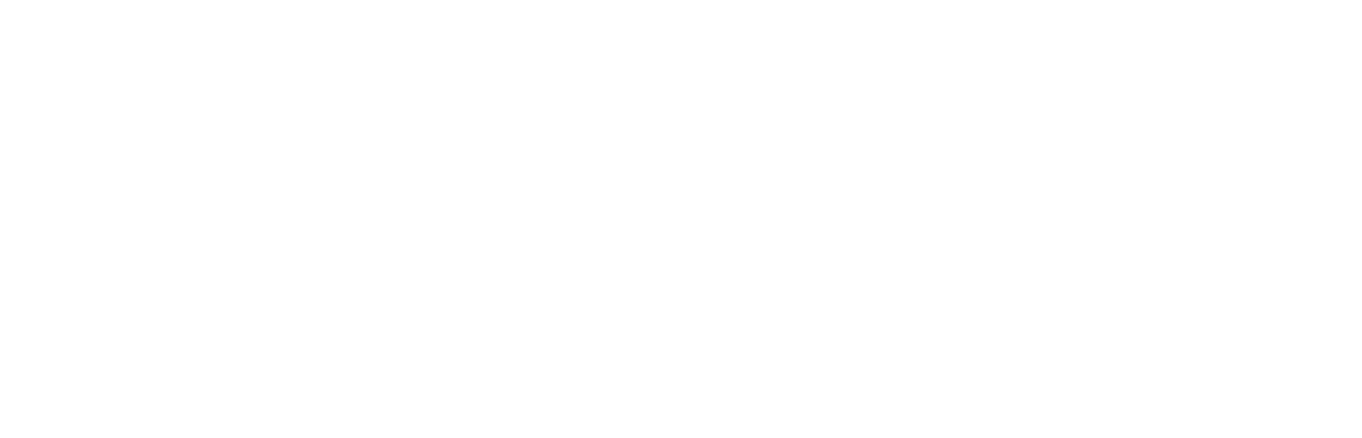 AFM Simulation